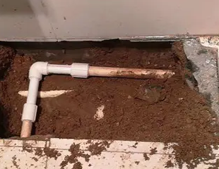 池州市测漏水哪家好