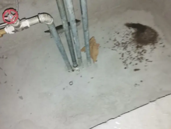 池州市卫生间测漏水价格明细