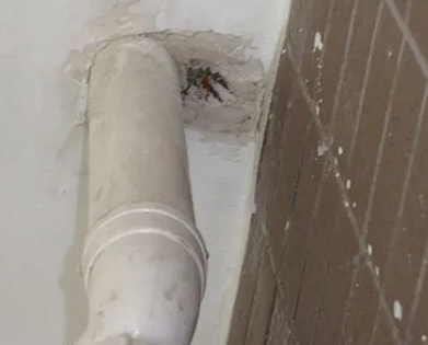 池州市漏水检测哪家好